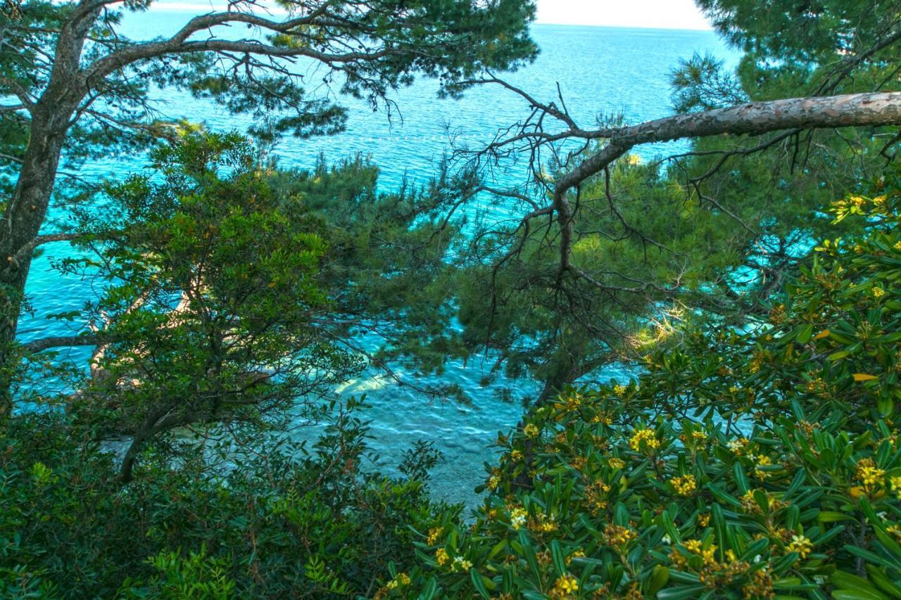 Apartments By The Sea Brela, Makarska - 16950 Екстериор снимка